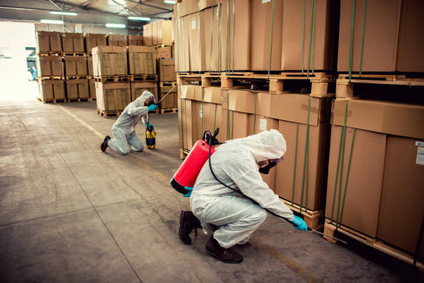 Best Termite Control Services  in Pandora, OH