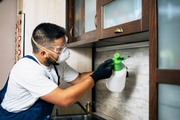 Best Pest Inspection Near Me  in Pandora, OH