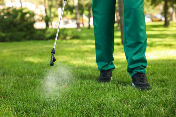 Best Residential Pest Control  in Pandora, OH